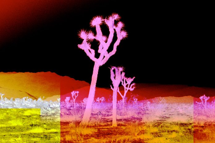 Psychedelic photographs from around the world by London-based photographer Micaela McLucas.