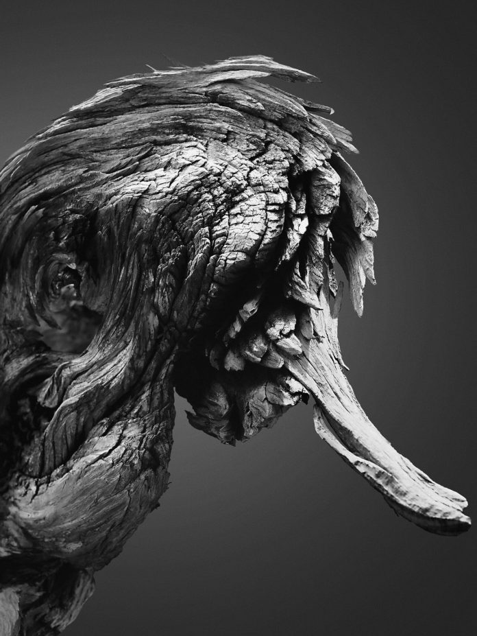 Creatures of The Ancient Forest, a personal photography project by Jonatan Maldonado.