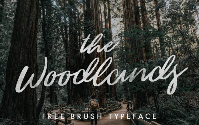 The Woodlands, a free brush script