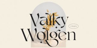 Valky Font by NEWFLIX.Bro Valky font, a classic modern typeface by NEWFLIX.Bro