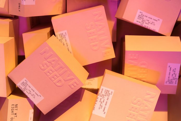 Visual identity design by studio Futura for cannabis brand Native Seed.