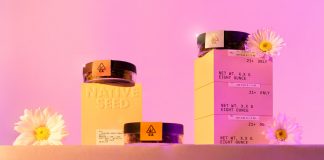 Visual identity design by studio Futura for cannabis brand Native Seed.