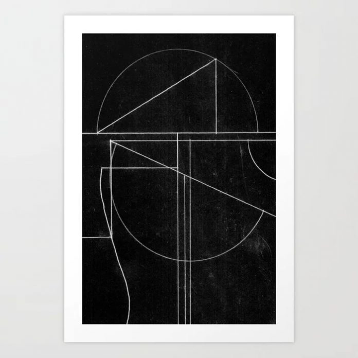 Buia Art Print by Dan Hobday