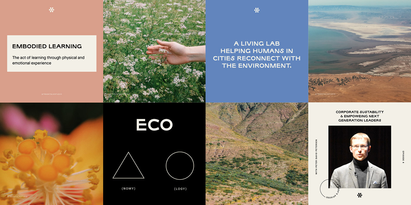 Branding for Trashtalk Studio by Mariela Mezquita