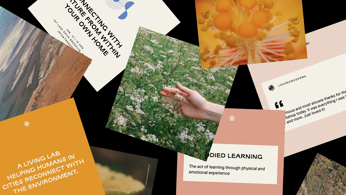 Branding for Trashtalk Studio by Mariela Mezquita