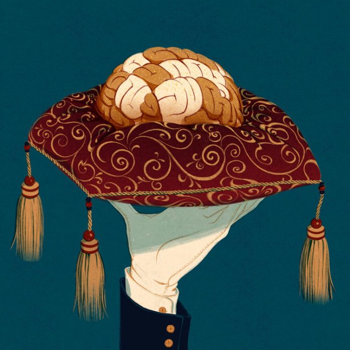 Dawn Yang illustration