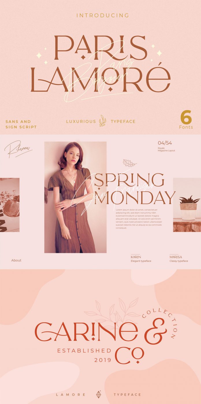 The Paris Lamore Sans and Script Font by NEWFLIX.Bro.