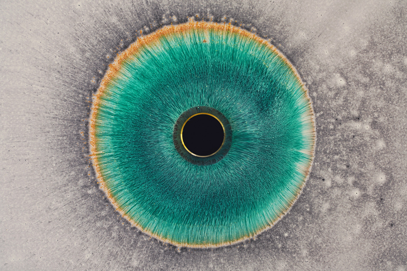 I See You by Rus Khasanov.