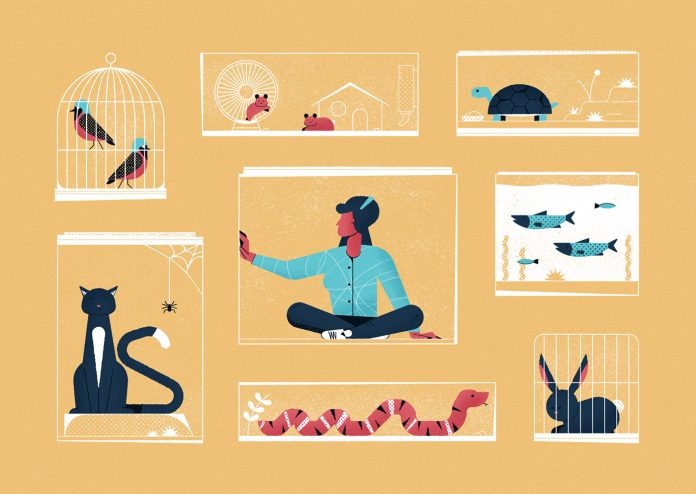 Podcast Illustrations by James Round
