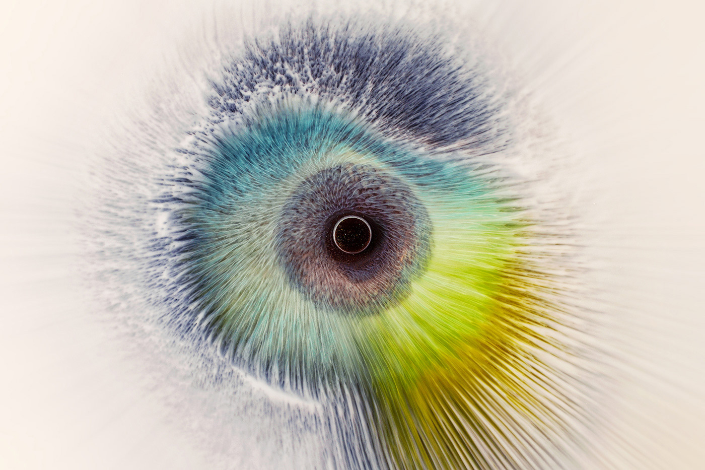 I See You by Rus Khasanov.