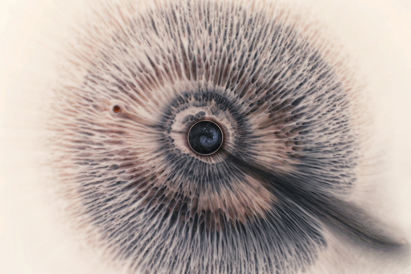 I See You by Rus Khasanov.