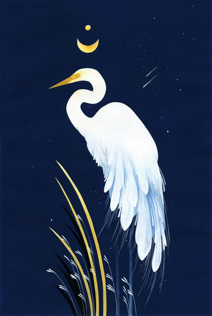 Wistful Dreams, Porcelain Memories - Illustrations by Maggie Chiang
