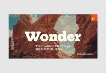 Wonder font family by Fenotype.