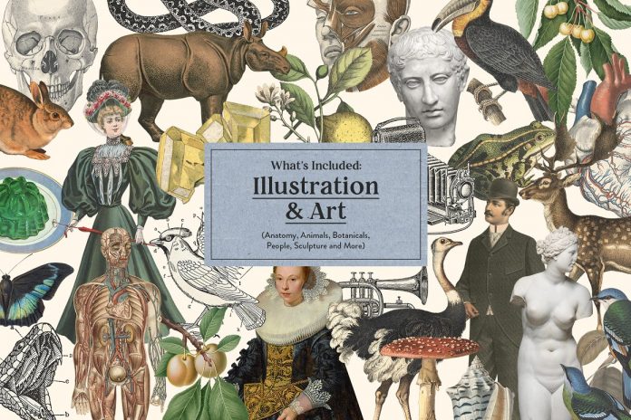 Vintage Collage Creator by Graphic Goods