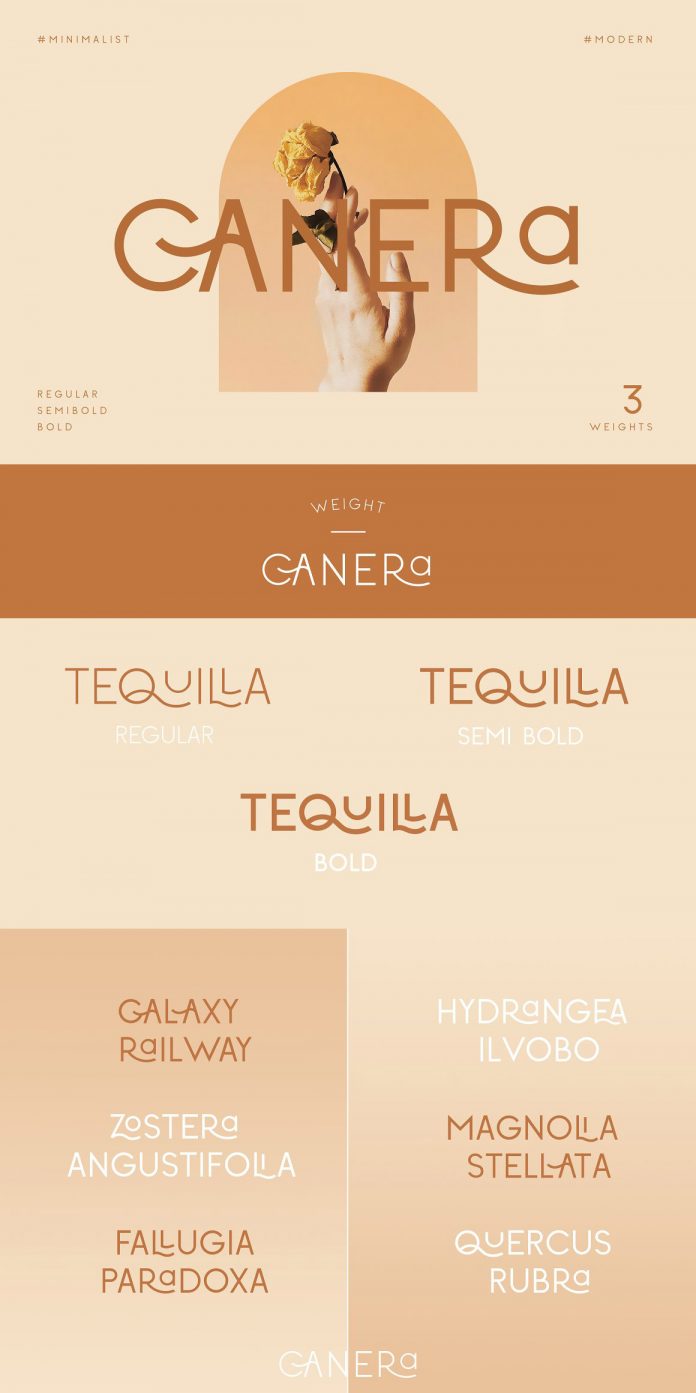 Canera Font by Creative Corner