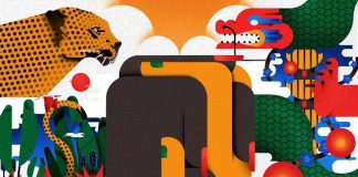 Luca Di Bartolomeo Illustrations