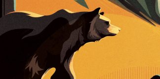 Animal Studies by Charlie Davis