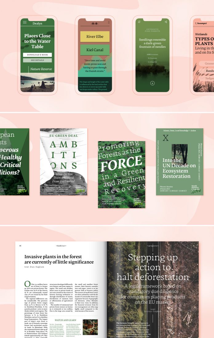 Adelbrook font family by Vibrant Types