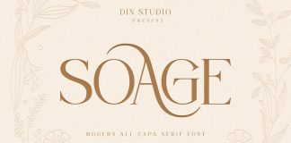 Soage Serif Font by Din Studio