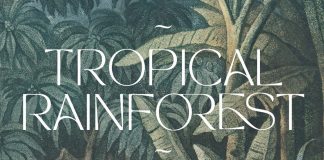 TAN MON CHERI Font by TanType TAN - MON CHERI font from TanType