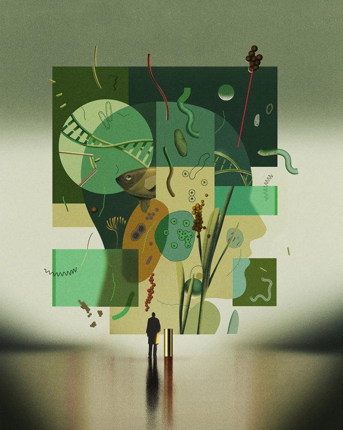 Editorial illustration by Ibrahim Rayintakath