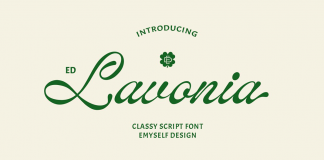 ED Lavonia - Classy Script Font by Emyself Design