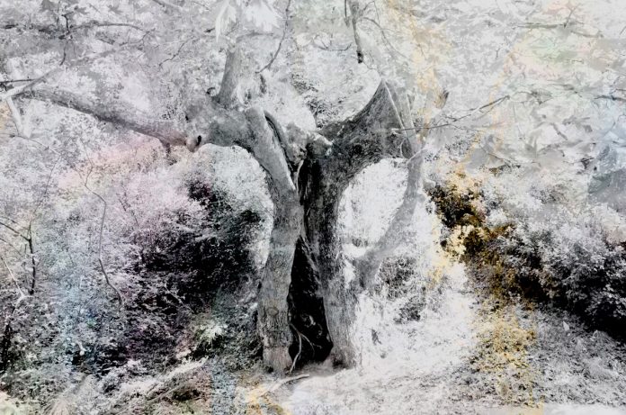 All I ever wanted was to disappear, a work in progress by Alexis Vasilikos