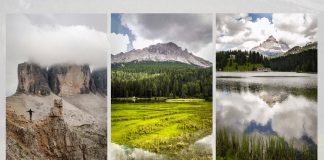Beginner’s Photography Online Course: Basic Camera Use and Theory
