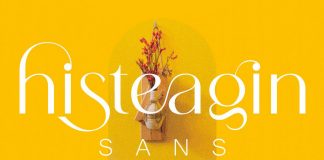 Histeagin Sans Font by Yahya Type