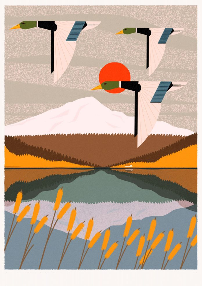 Various poster illustrations by Justyna Frąckiewicz
