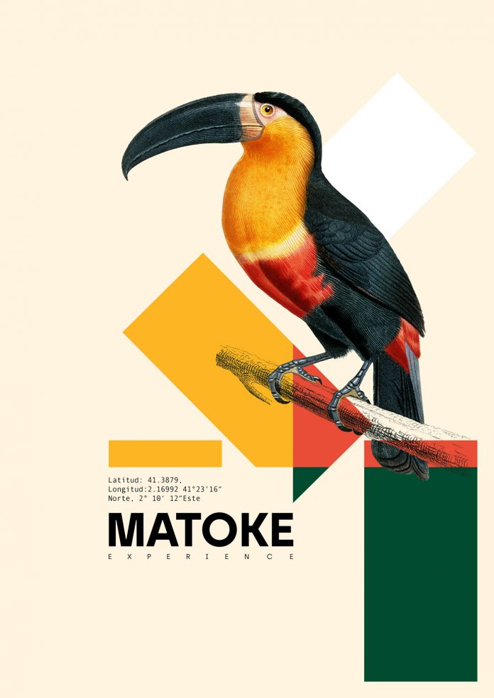 Matoke Experience Poster Collection by Xavier Esclusa Trias