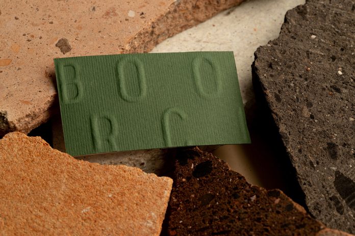 Brócoli consulting firm branding by Fugitiva