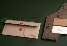 Brócoli consulting firm branding by Fugitiva