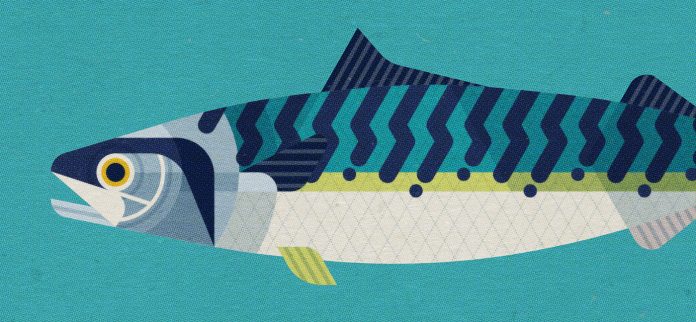 Neptune Fish - fictional branding by Bart De Keyzer