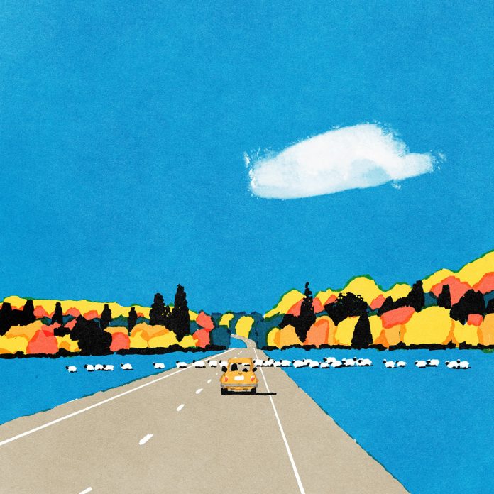 Drive Safe Series by Kento IIDA