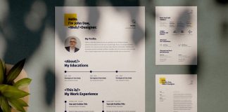 Resume and CV Adobe InDesign Template