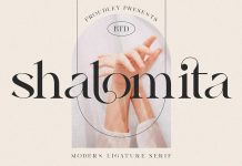 Shalomita font by Burntilldead