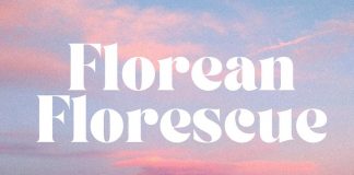 TAN ASHFORD font by TanType