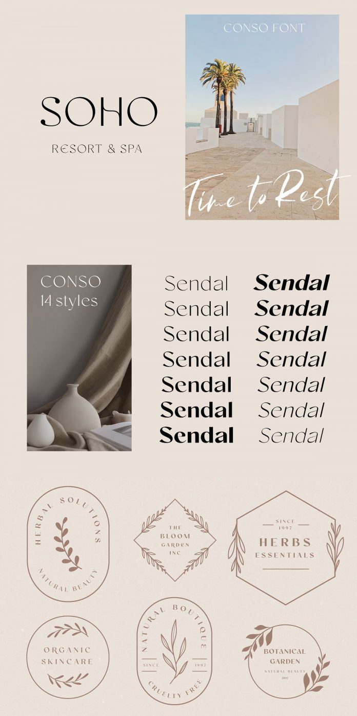 Conso Font Family by Larin Type Co.