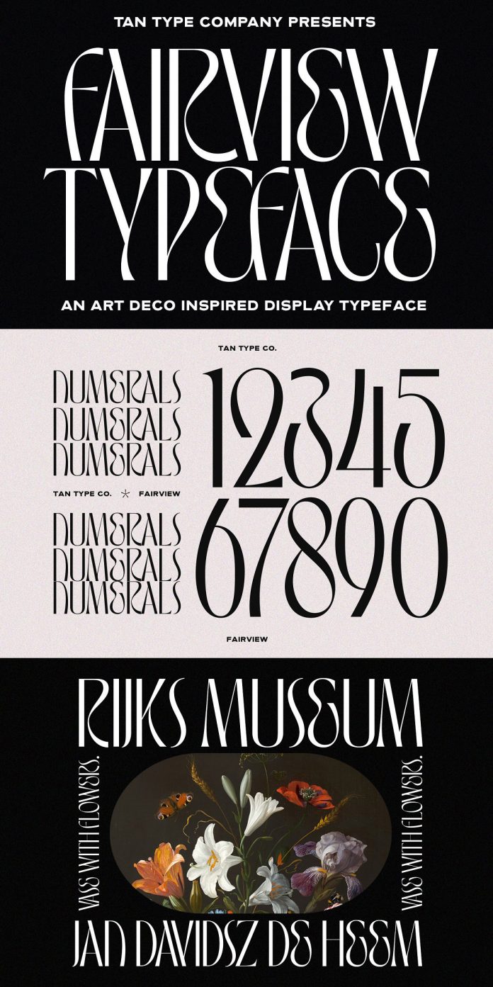 TAN Fairview font by TanType