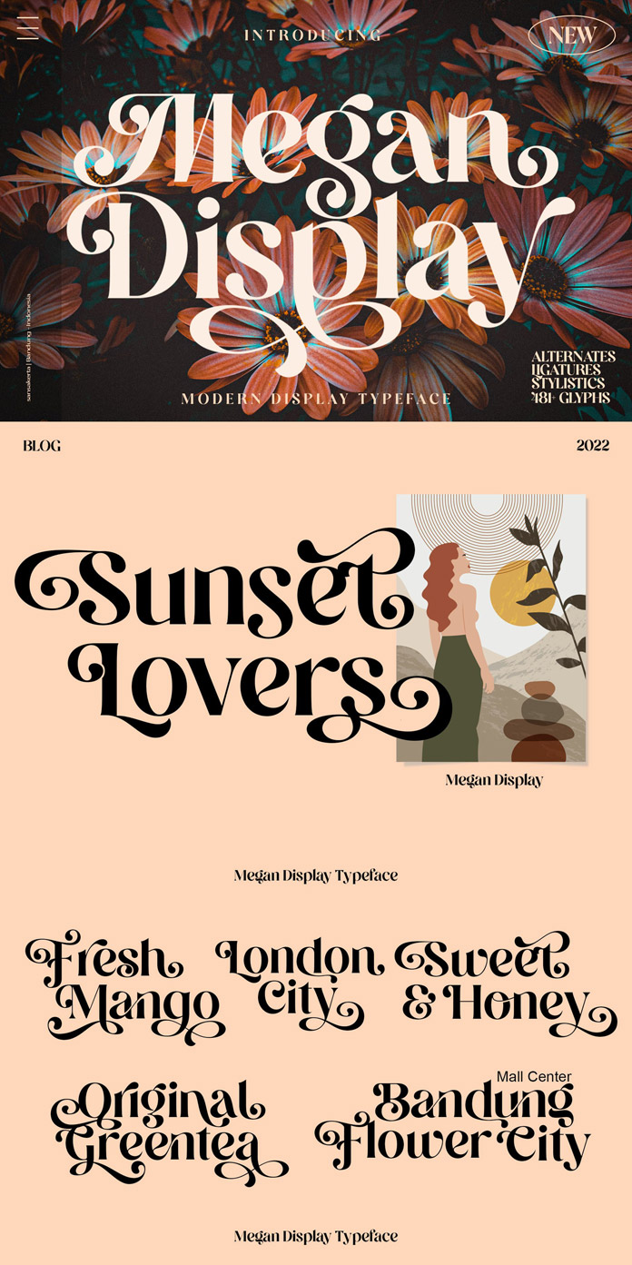 Megan Display Font by Sansakerta