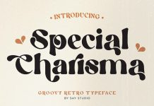 Special Charisma Font by Say Studio