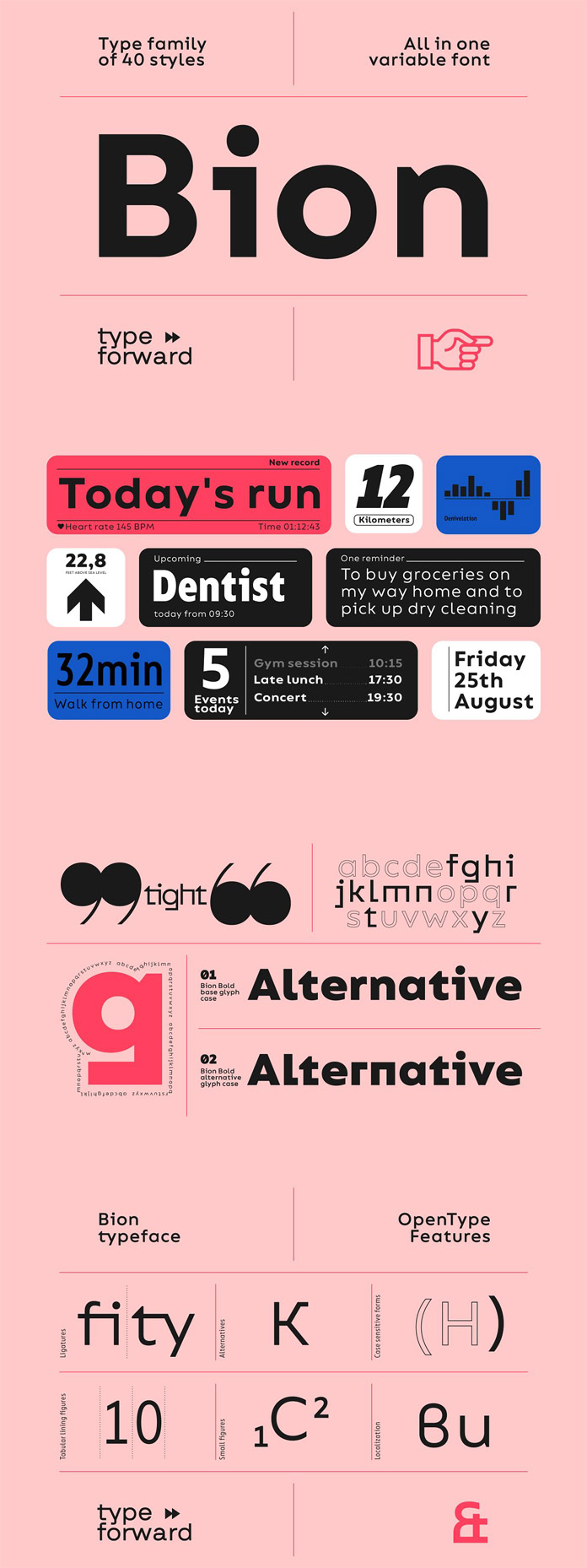 Bion Font Family by Type Forward
