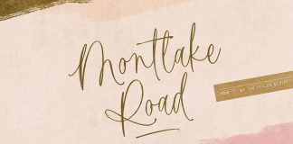 Montlake Road Script Font by The Styled Script