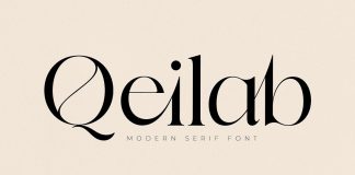 Qeilab Modern Serif Font by Storytype Studio