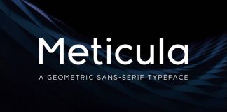 Meticula Font Family by Kush Jain Meticula Font Family by Kush Jain