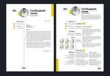 Professional Curriculum Vitae Template for Adobe InDesign