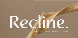 Recline font family by Digitype Studio