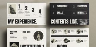 Digital CV and Resume Template for Job Application