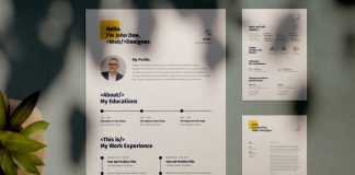 Resume Template for Web Developers and Designers